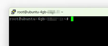 SSH into server